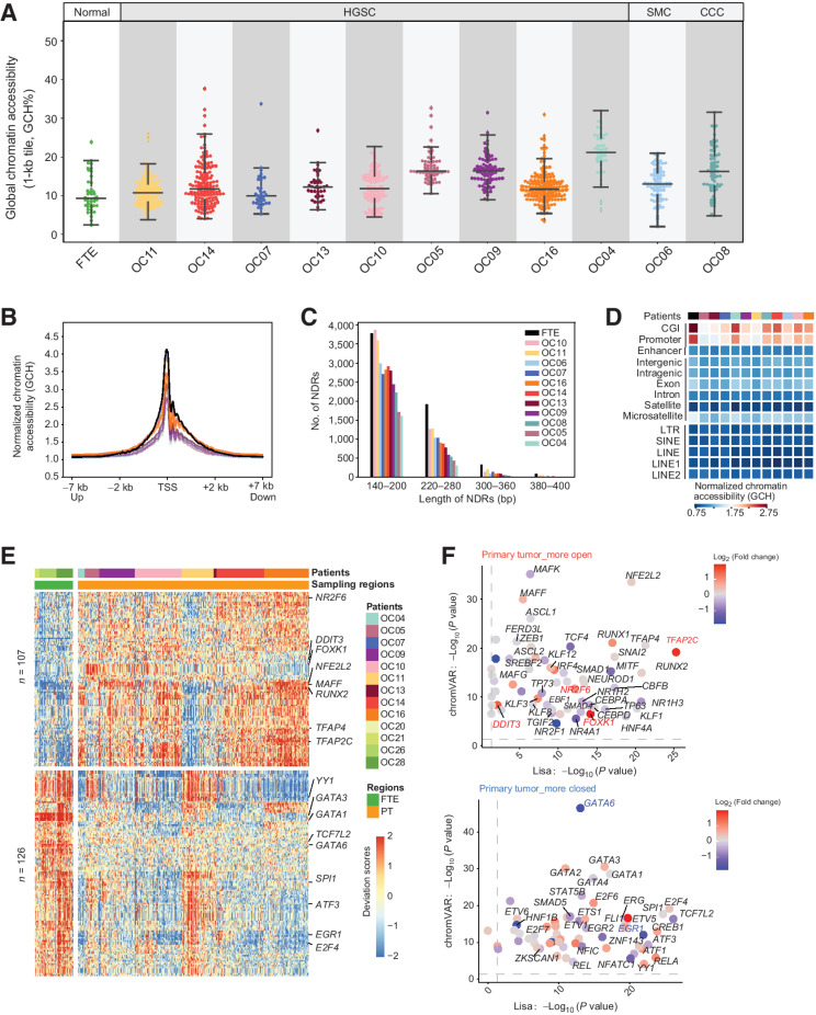 Figure 4. Characteristics of chromatin accessibility in HGSC. A, Chromatin accessibility of the whole genome in cancer cells and FTE cells. B, Normalized chromatin accessibility around TSS (±7 kb) in different patients. Each line is colored by different patient, which is the same as the colors in B. C, The number and length of NDRs in FTE and cancer cells, colored by patients. D, The normalized GCH levels of different genomic elements. E, Heatmap representing chromVAR bias-corrected deviations of the TFs whose binding motif presented different accessibility across FTE cells and primary tumor cells. F, Scatterplot showing the TFs whose binding motifs exhibit different deviation scores predicted by chromVAR and may regulate the DEGs inferred by Lisa. Top: TFs were more active in primary tumor cells and its target genes were upregulated in primary tumor cells. Bottom: TFs were more inert in primary tumor cells and its target genes were downregulated in primary tumor cells. The colors of the dots represent the fold changes of the expression in cancer cells and FTE cells.