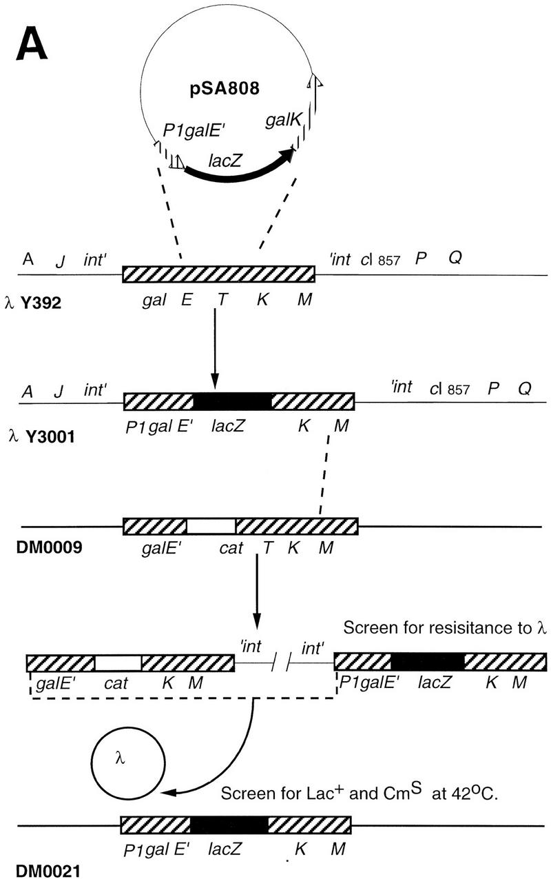 Figure 9