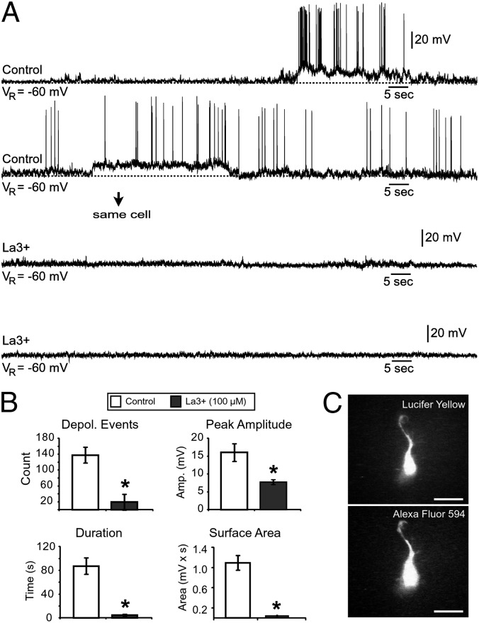 Fig. 8.