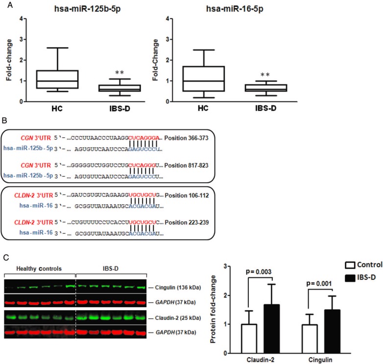 Figure 2