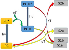 Scheme 1