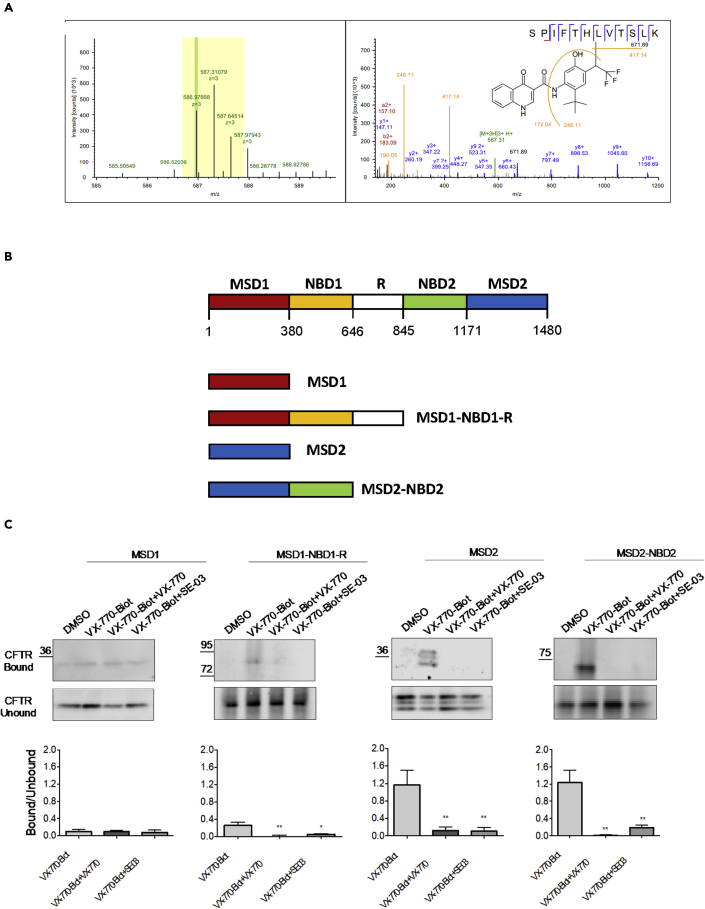 Figure 2