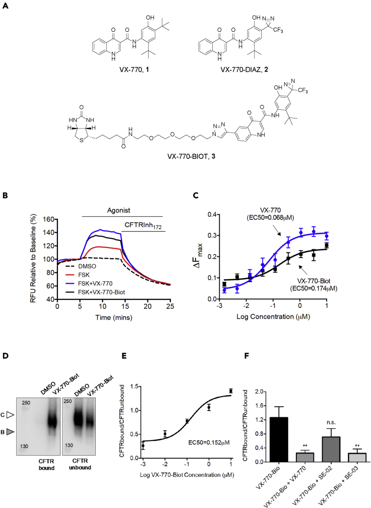 Figure 1