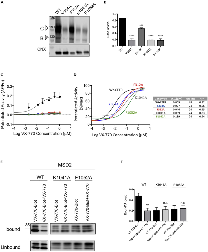 Figure 3