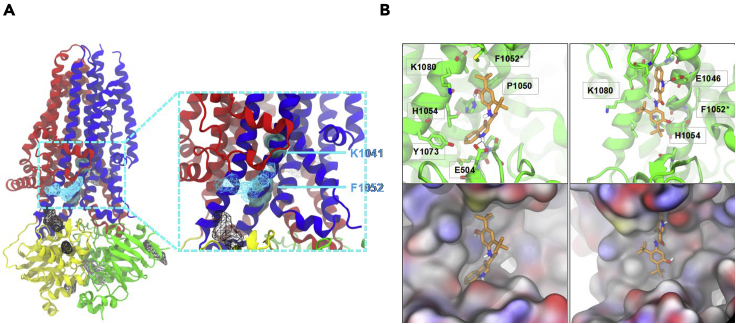 Figure 4