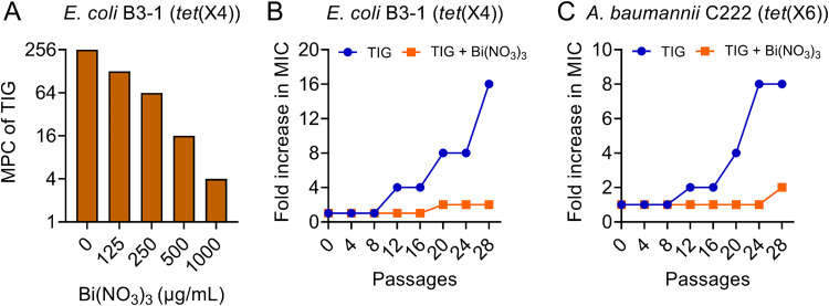 FIG 3