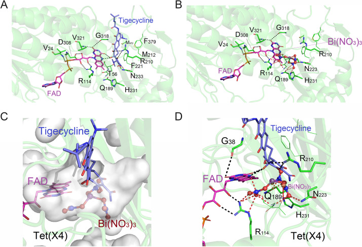 FIG 6