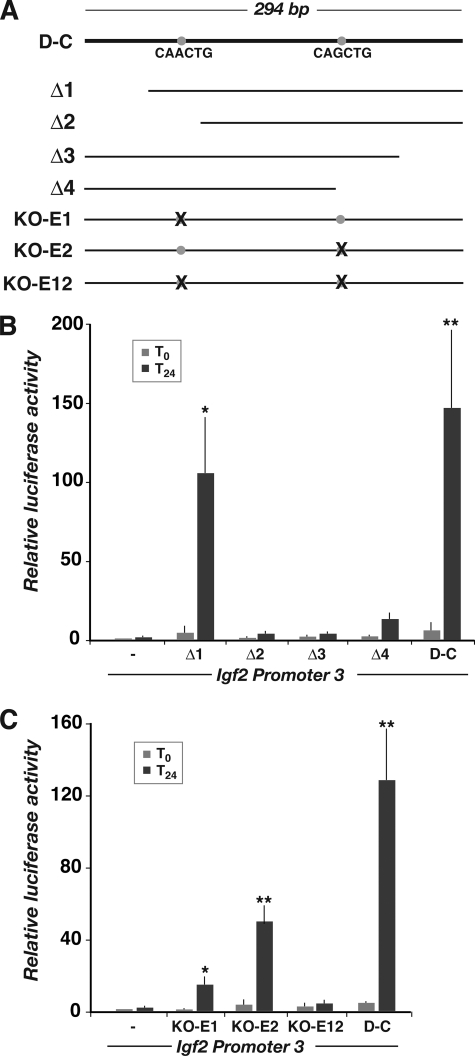 FIGURE 7.