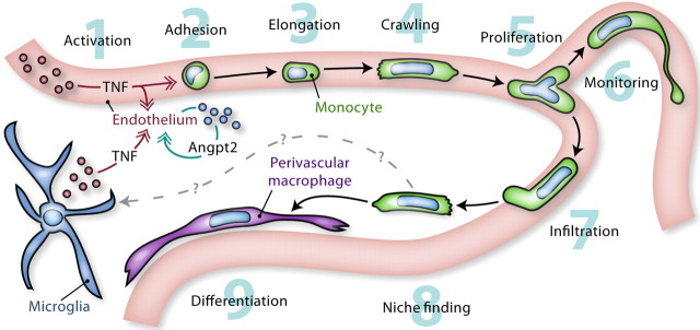 Figure 11.