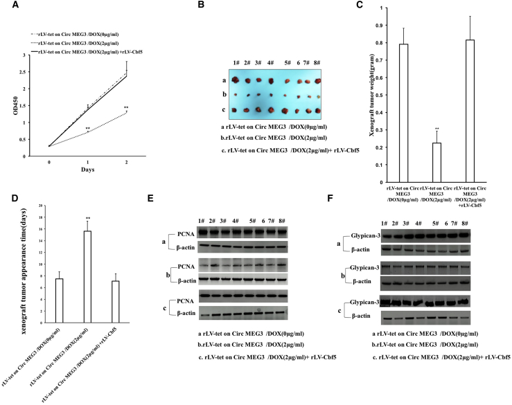 Figure 6