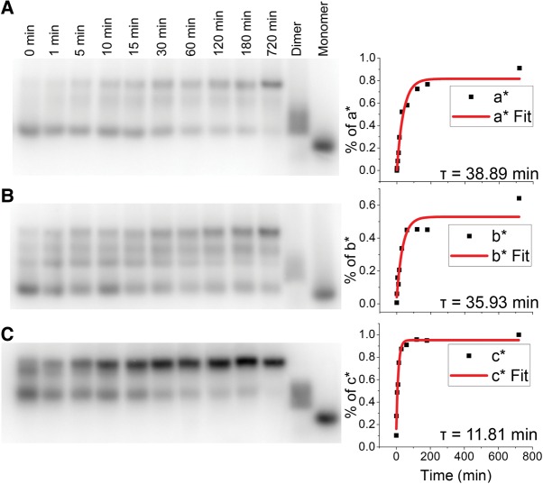 FIGURE 4.