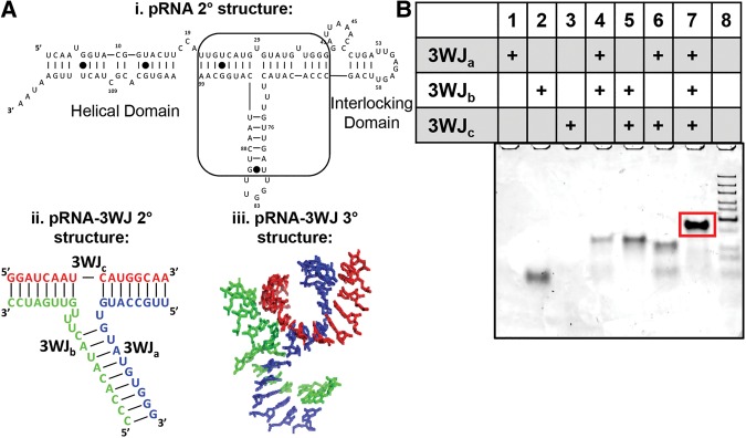 FIGURE 1.