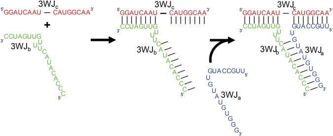 FIGURE 5.