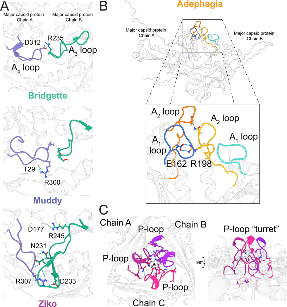 Figure 6.