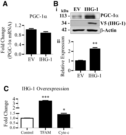 Figure 9.