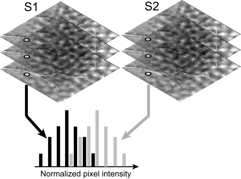 FIG. 1.