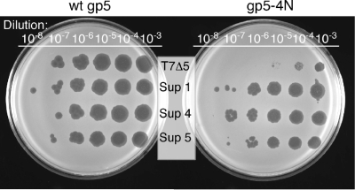 FIG. 4.