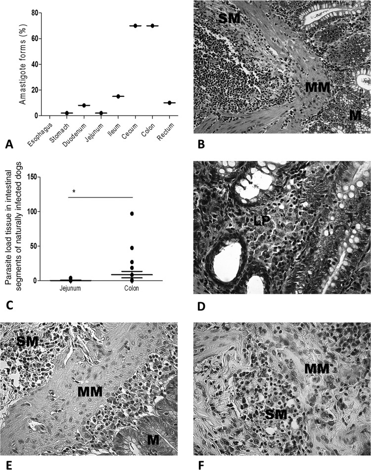 FIG 1