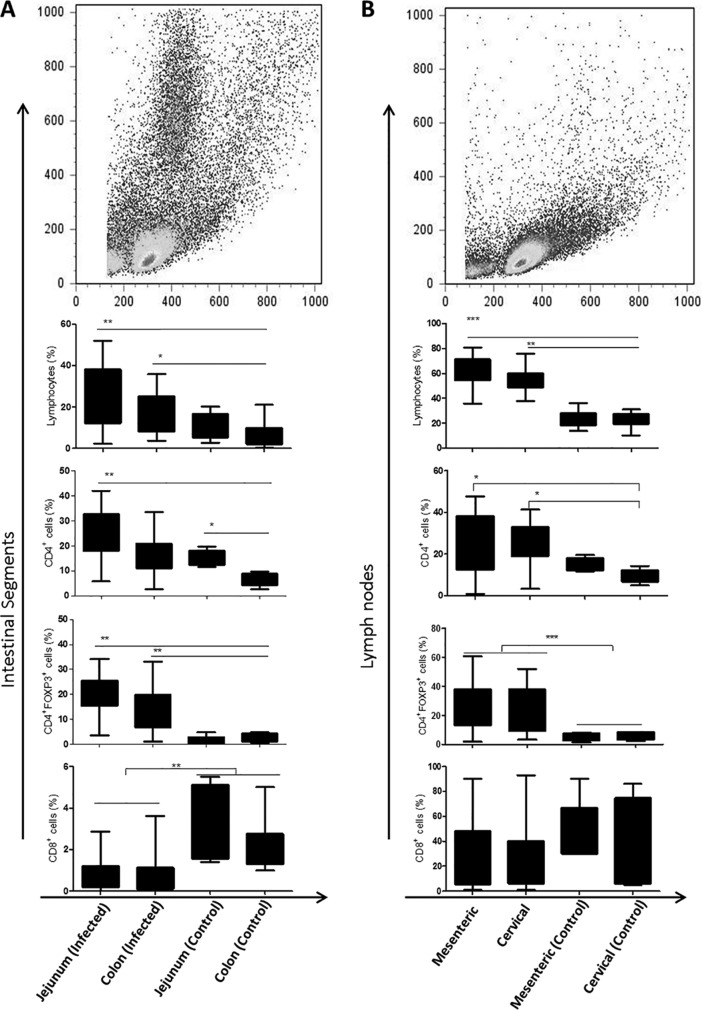 FIG 2