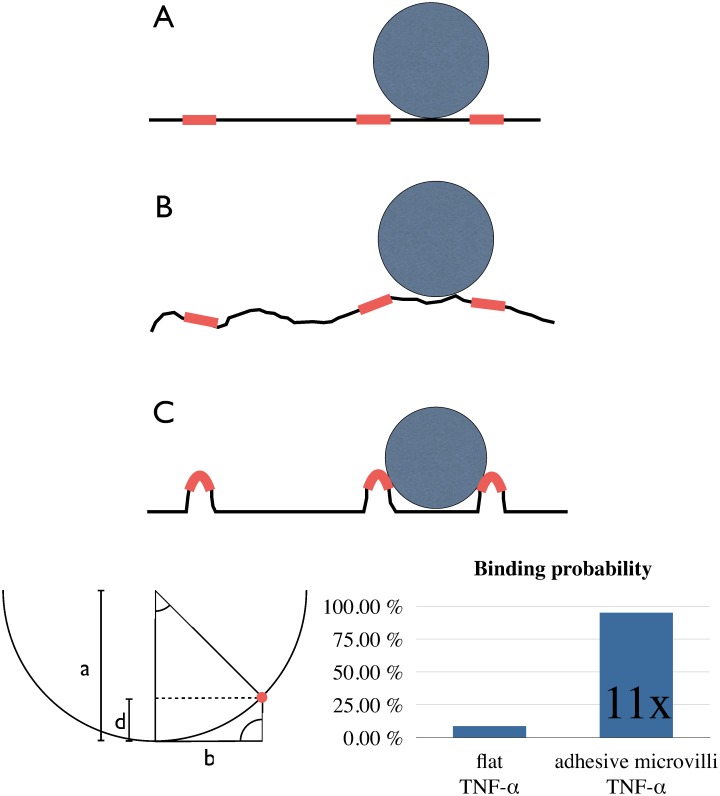 Fig 7