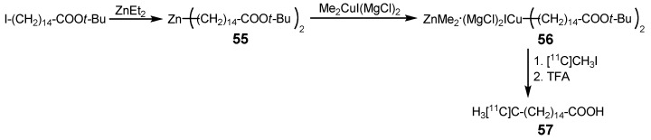 Scheme 25