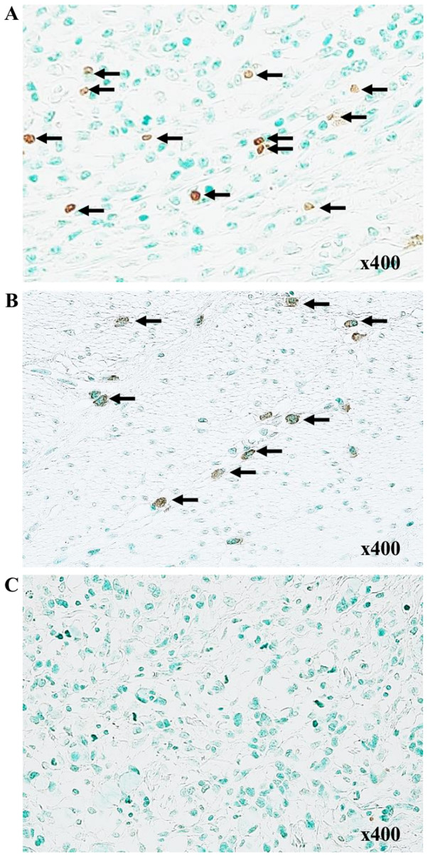 Figure 10