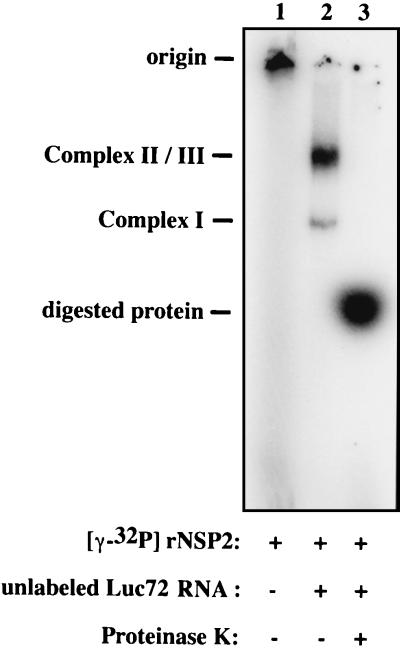 FIG. 11