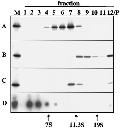 FIG. 5