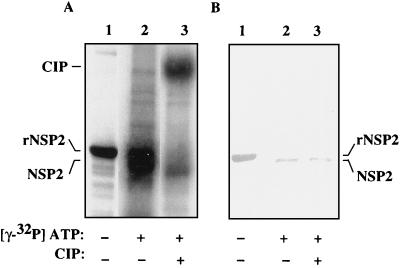 FIG. 9