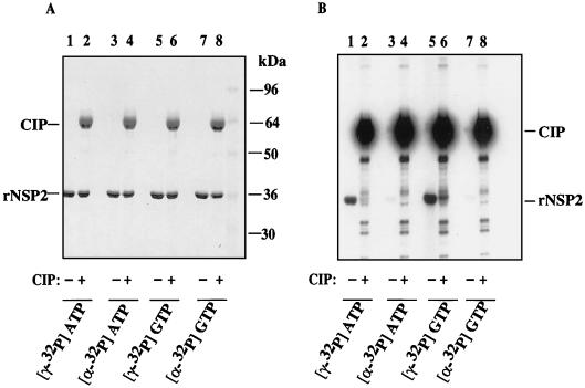 FIG. 8