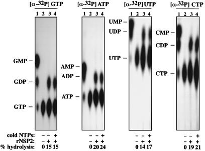 FIG. 7