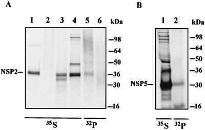 FIG. 10