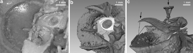 Fig. 1