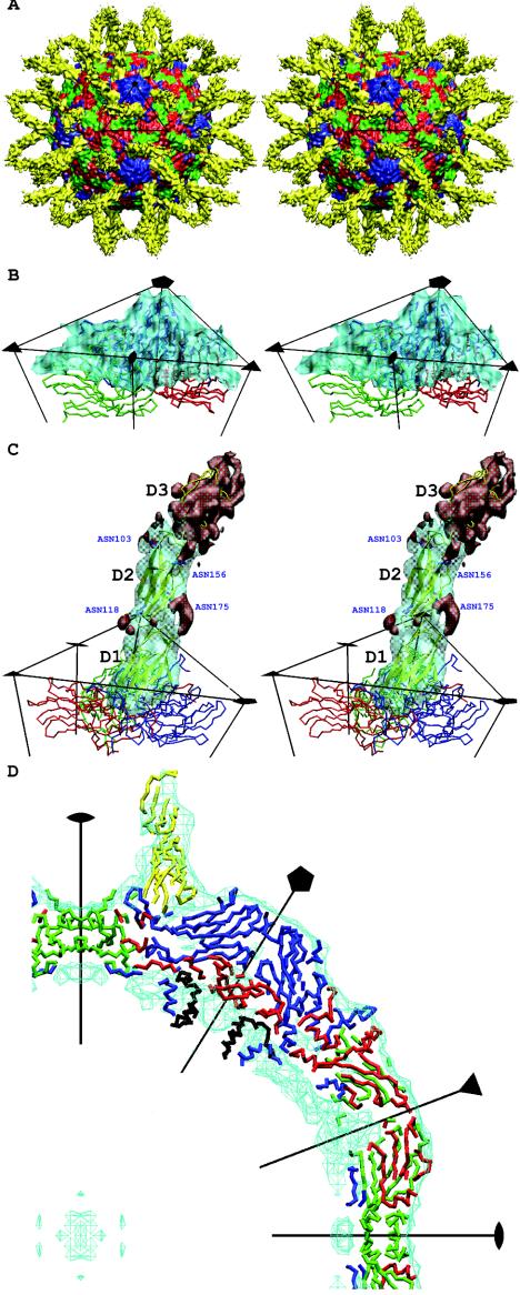 FIG. 1.