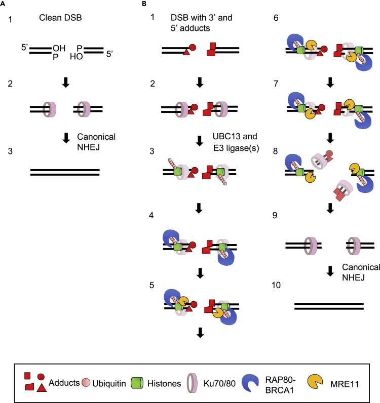 Figure 6