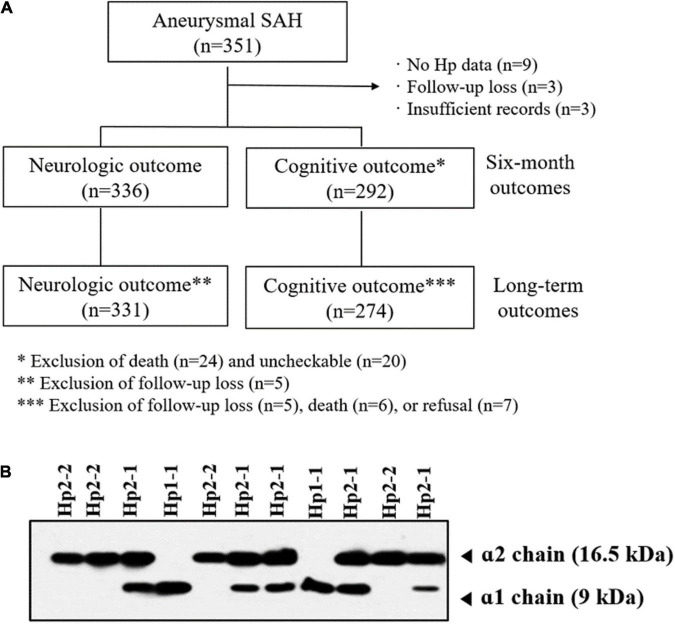 FIGURE 1