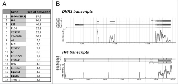 Figure 3.