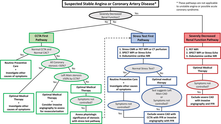 Flowchart shows an algorithm with recommendations to help select the best noninvasive imaging test for suspected stable angina or CAD. CAC = coronary artery calcium, CMR = cardiac MR, Echo = echocardiography.