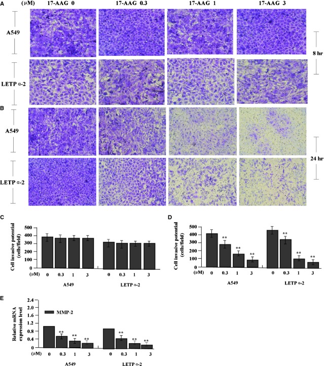 Fig 6