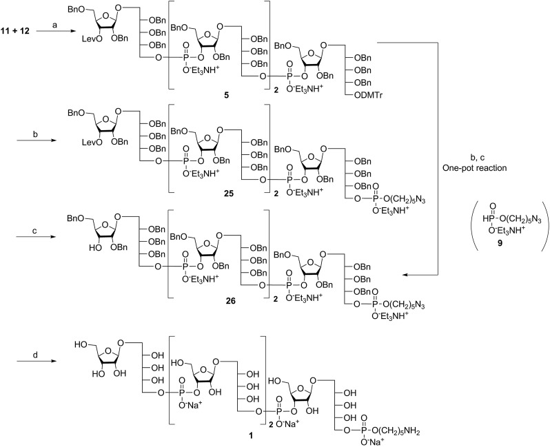 Scheme 3