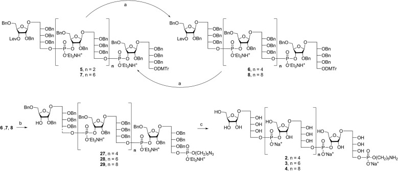 Scheme 4