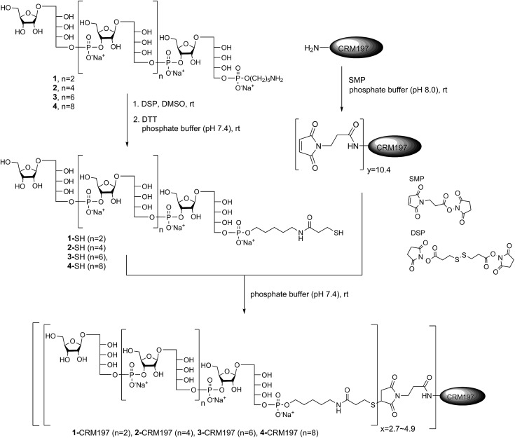 Scheme 5