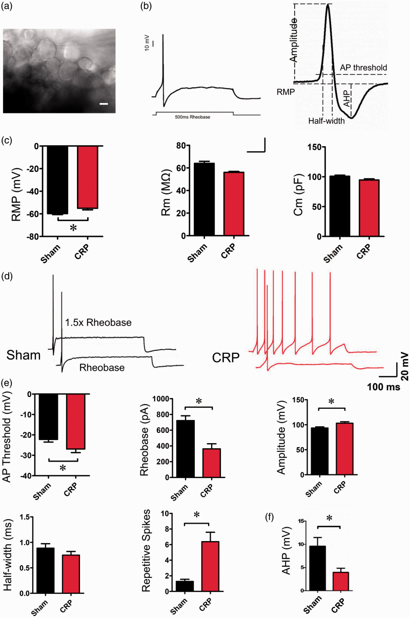 Figure 2.