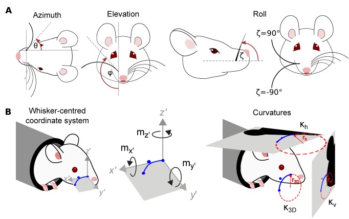 Fig 5