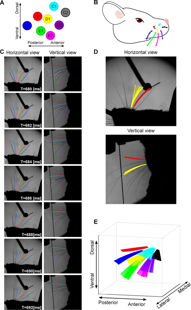 Fig 4