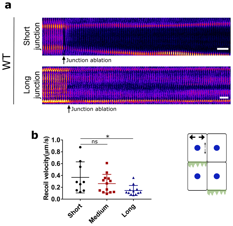 Extended Data Fig. 1