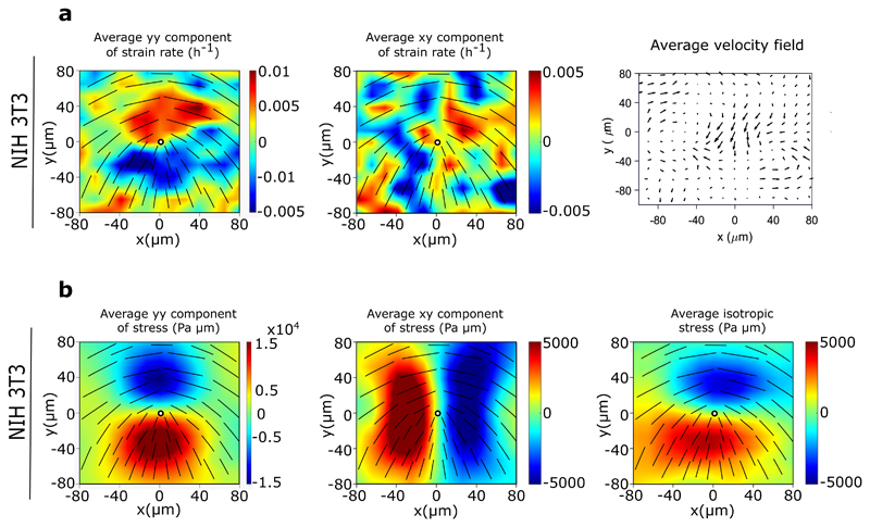 Extended Data Fig. 3