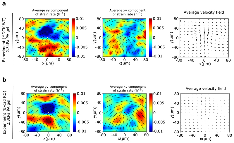 Extended Data Fig. 9