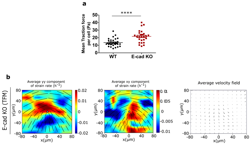 Extended Data Fig. 6