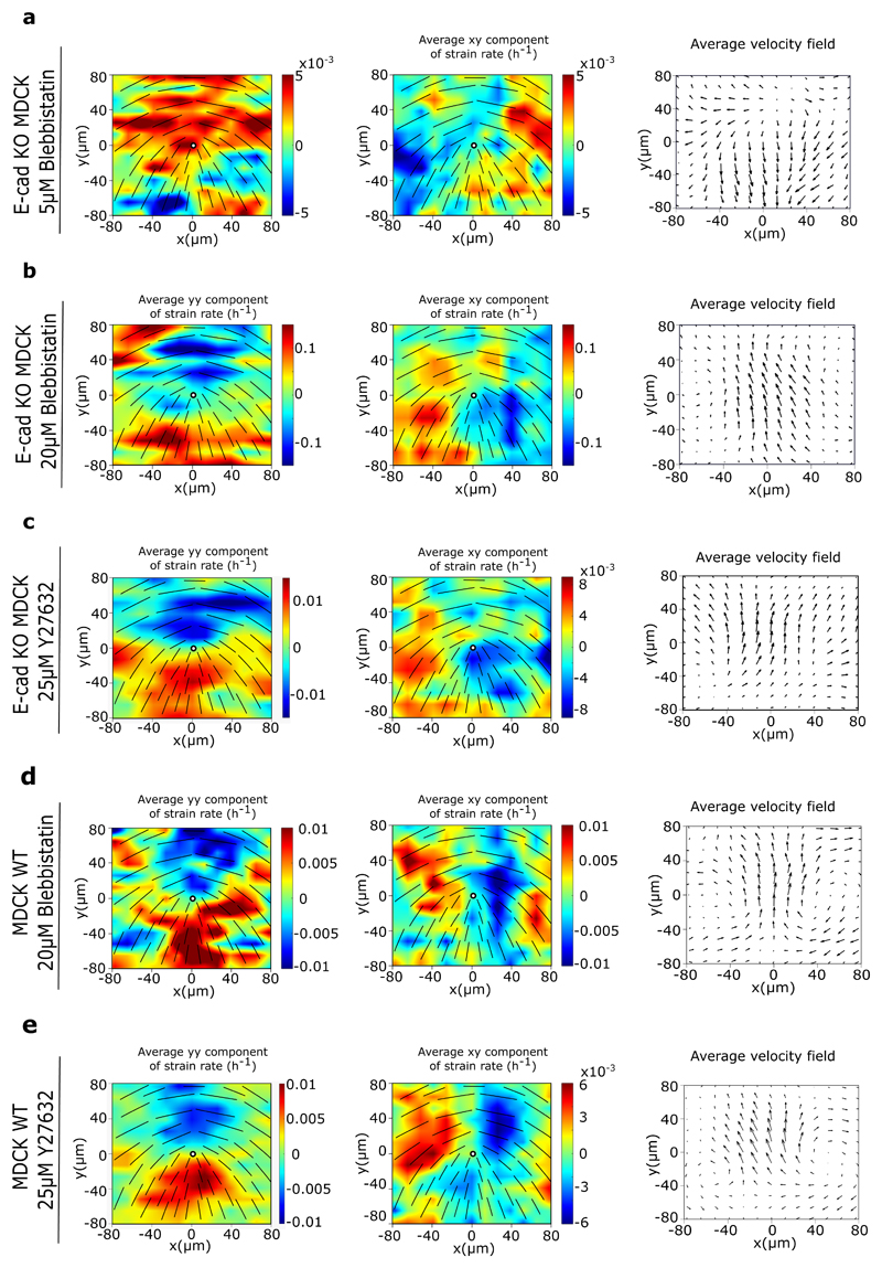 Extended Data Fig. 7